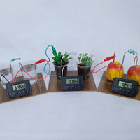 Reloj ecológico