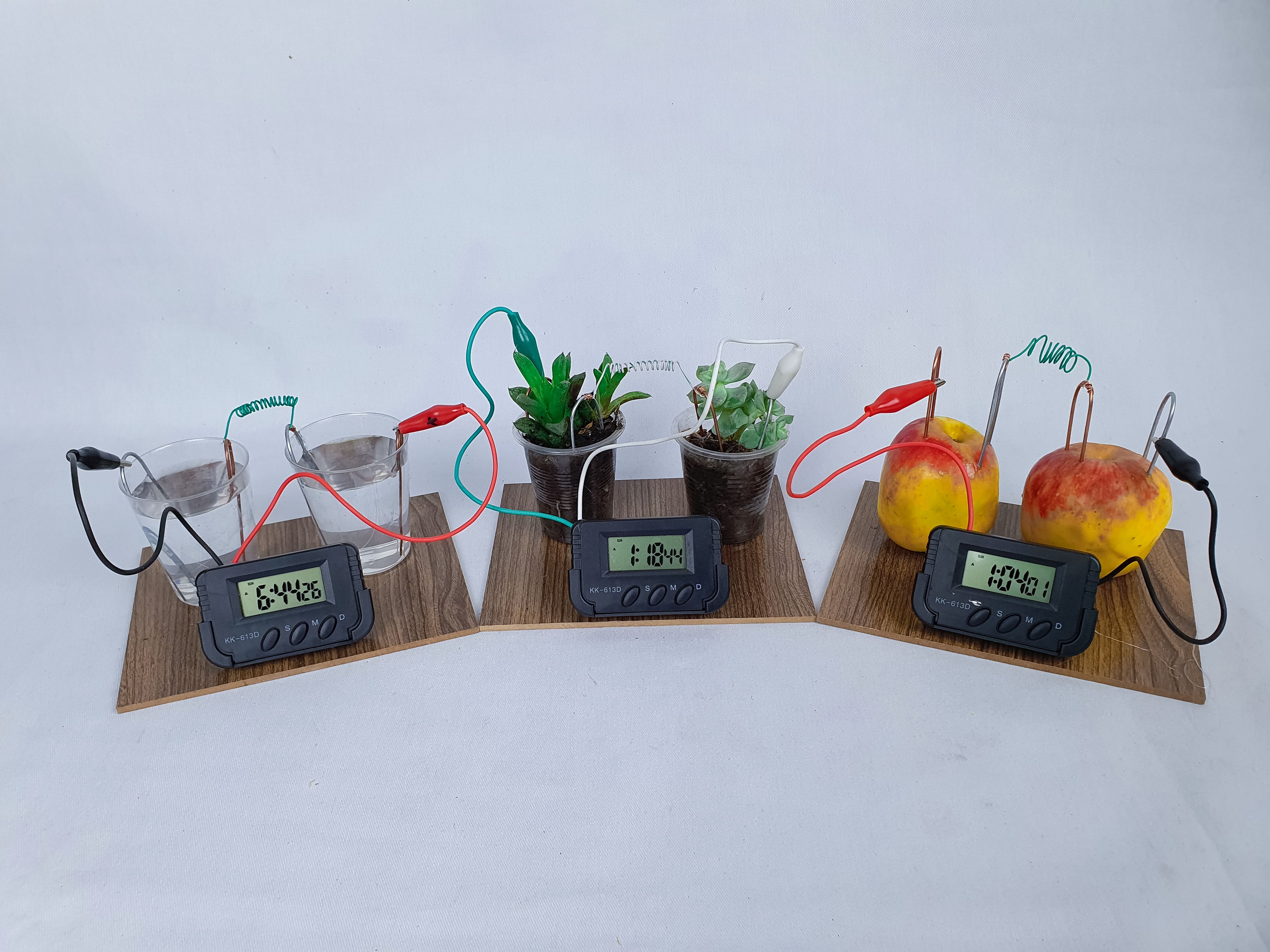 Reloj ecológico
